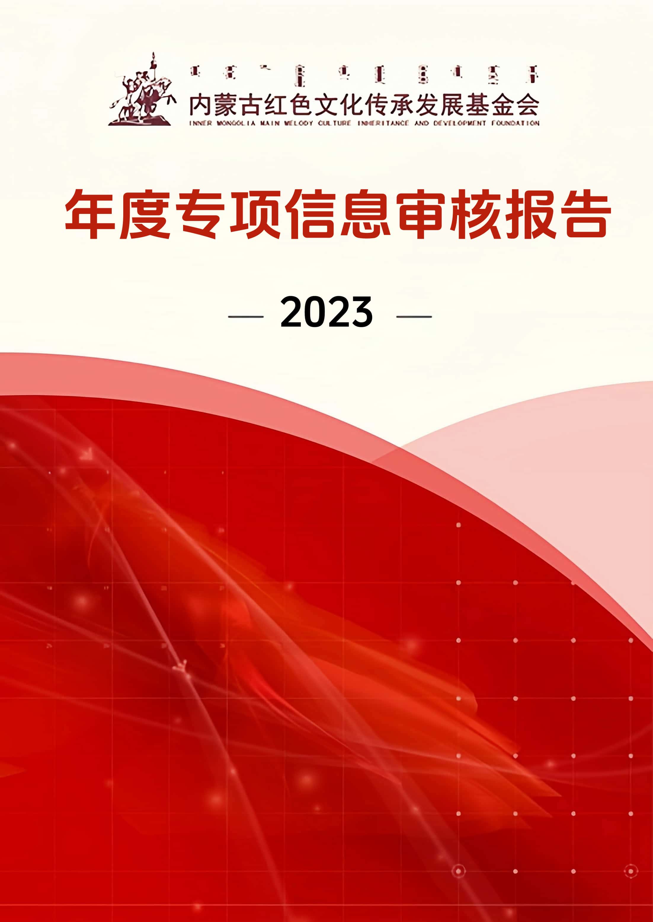 2023年度专项信息审核报告